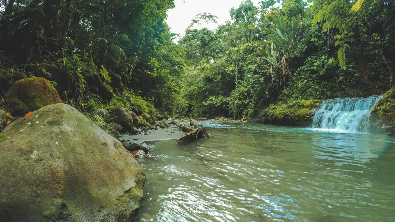 Oski Lodge, Rain Forest Rincon De La Vieja Upala Екстериор снимка
