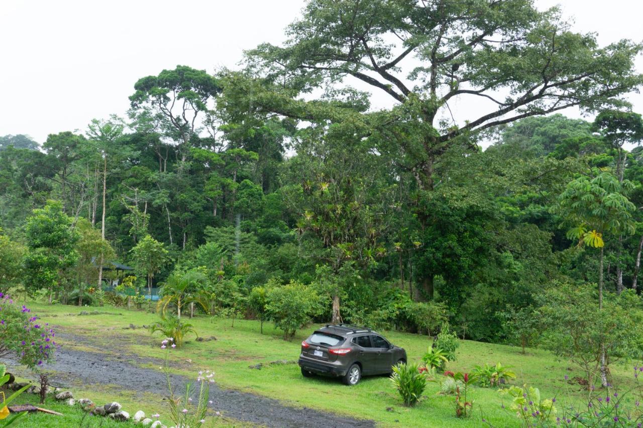Oski Lodge, Rain Forest Rincon De La Vieja Upala Екстериор снимка